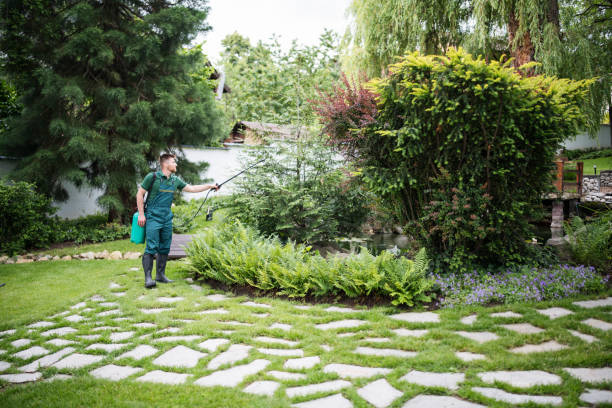 Trusted San Mateo, CA Pest Control Experts
