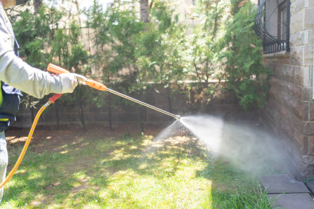Best Spider Control Near Me  in San Mateo, CA