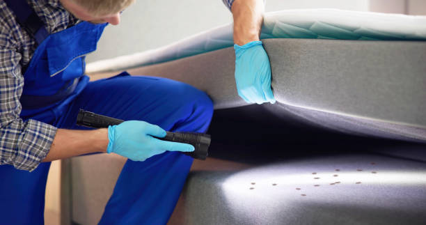 Best Affordable Pest Control Services  in San Mateo, CA