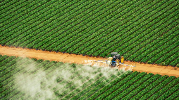 Best Mosquito Control Services  in San Mateo, CA