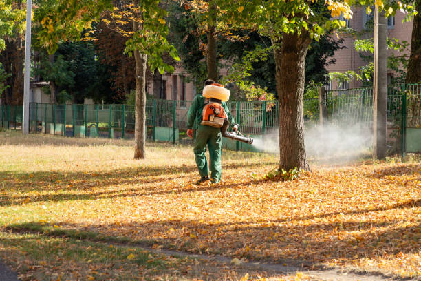 Best Rat Extermination Near Me  in San Mateo, CA