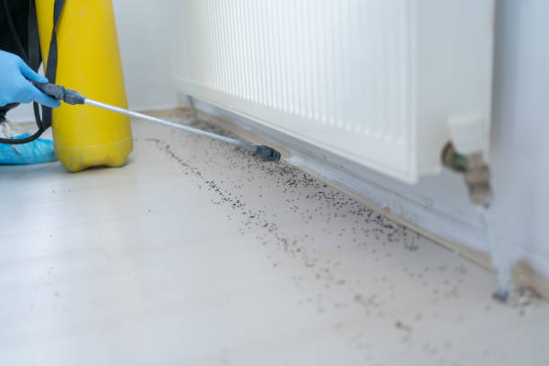 Wildlife Control Services in San Mateo, CA